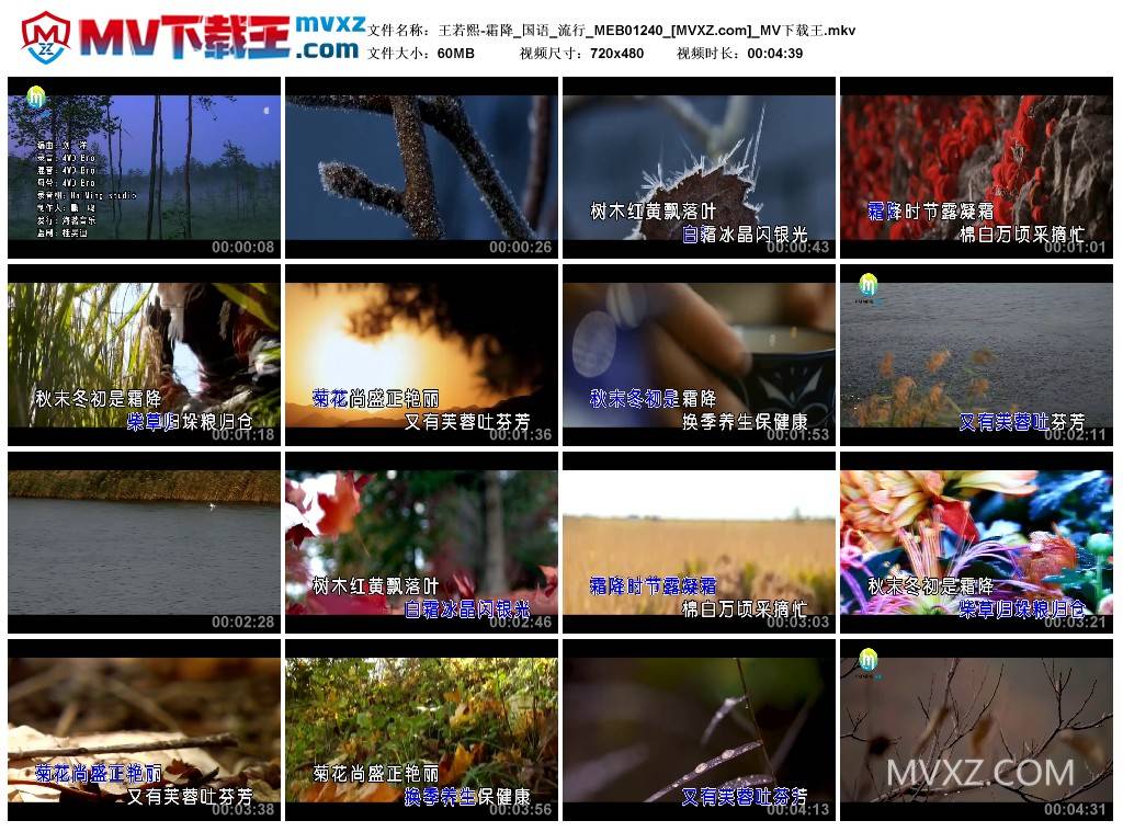 王若熙-霜降_国语_流行_MEB01240